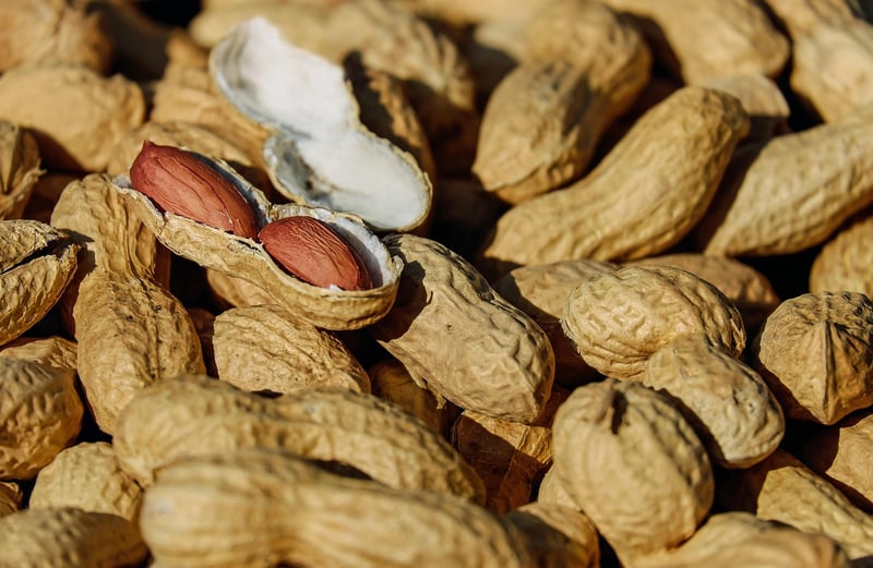 Crunchy Munchies